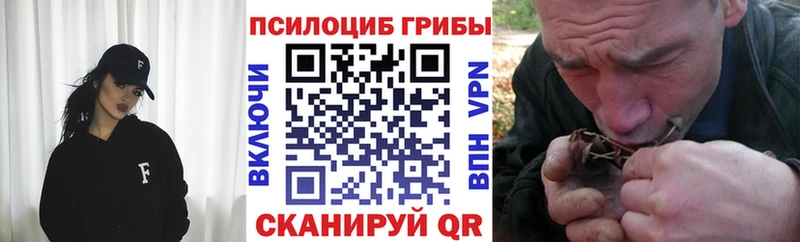 купить наркотик  KRAKEN как войти  Псилоцибиновые грибы мицелий  Оса 