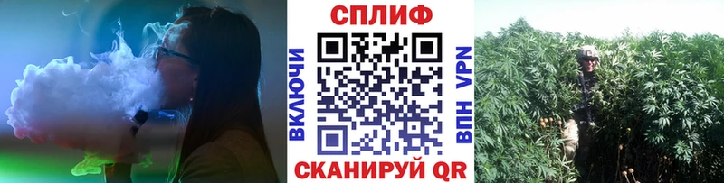 Бошки Шишки VHQ Оса